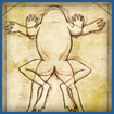 The Da Vinci Toad